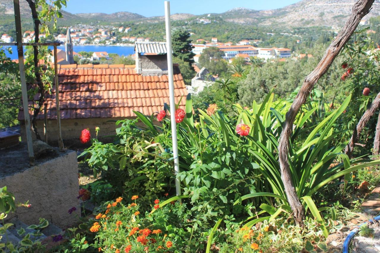 Apartments With A Parking Space Slano, Dubrovnik - 8540 Eksteriør bilde
